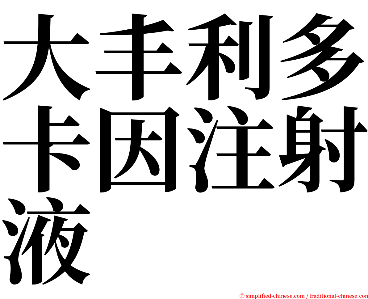 大丰利多卡因注射液 serif font