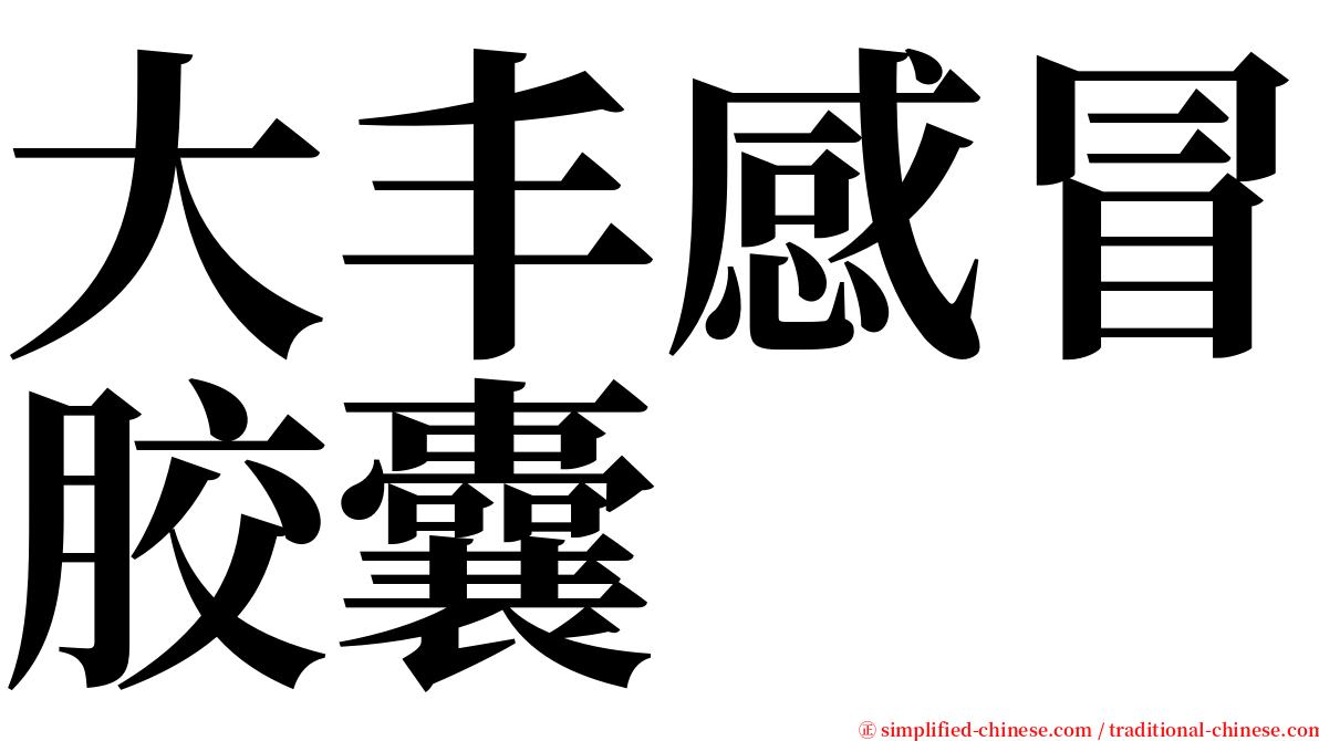 大丰感冒胶囊 serif font