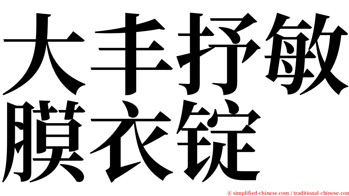 大丰抒敏膜衣锭 serif font