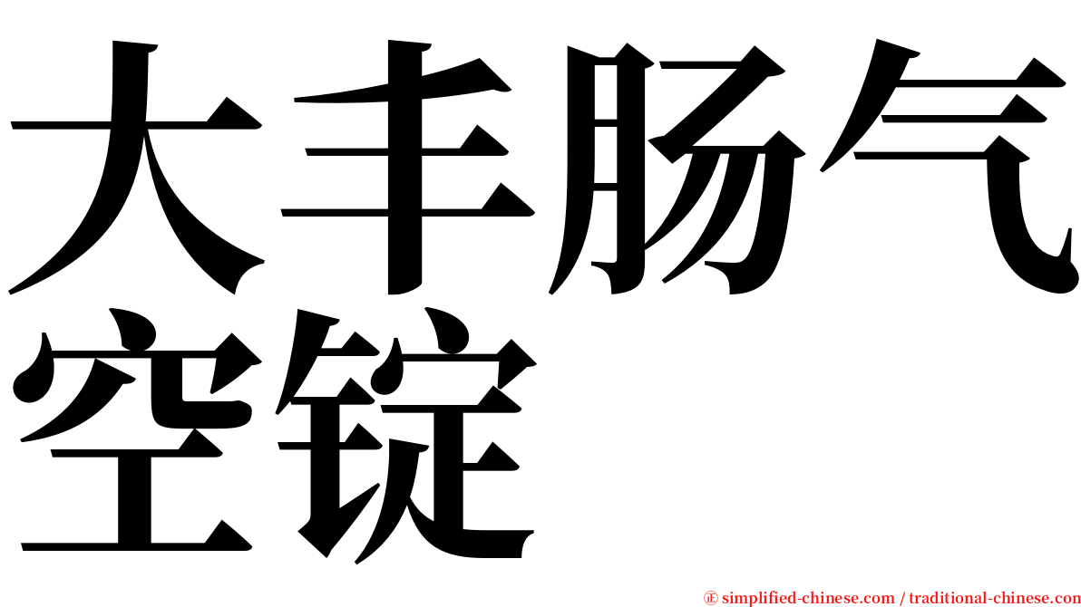 大丰肠气空锭 serif font