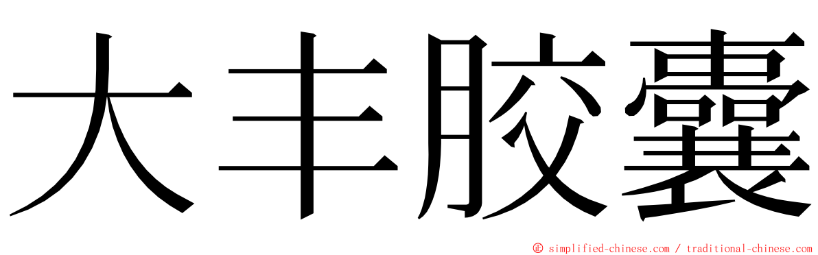 大丰胶囊 ming font