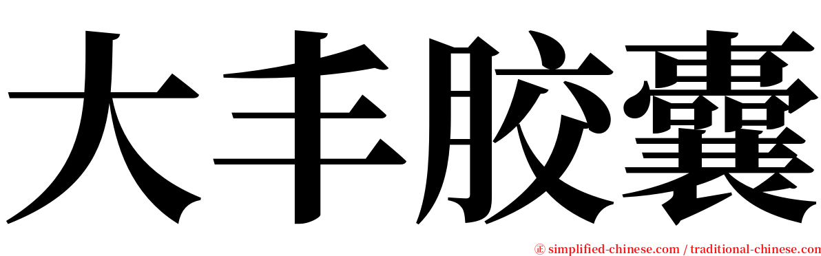 大丰胶囊 serif font