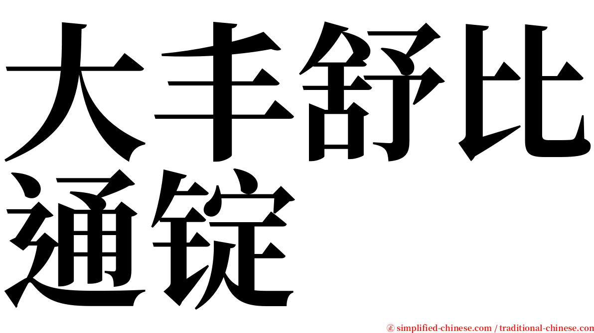 大丰舒比通锭 serif font