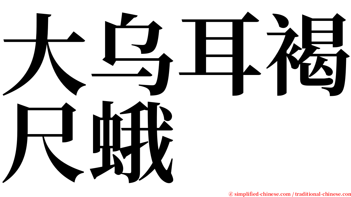 大乌耳褐尺蛾 serif font