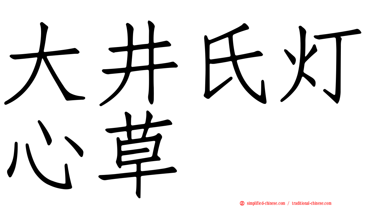 大井氏灯心草