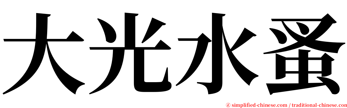 大光水蚤 serif font