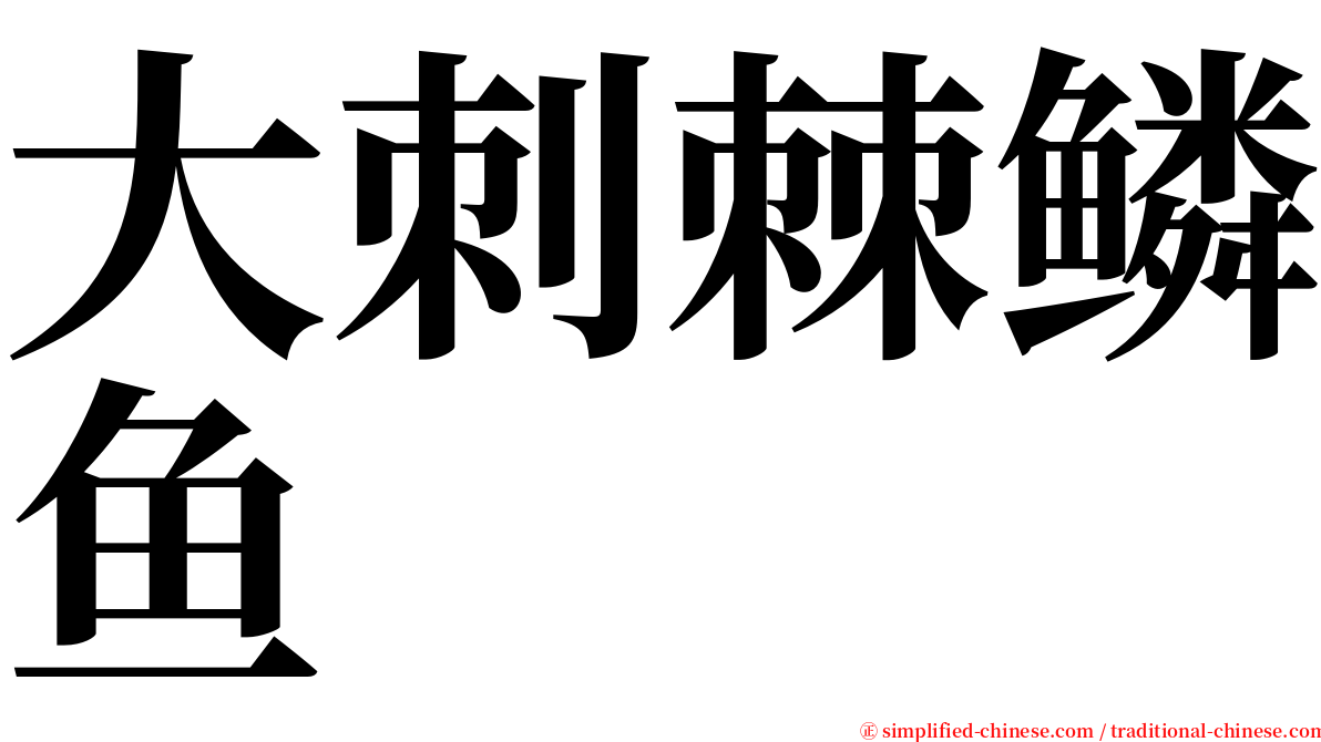 大刺棘鳞鱼 serif font