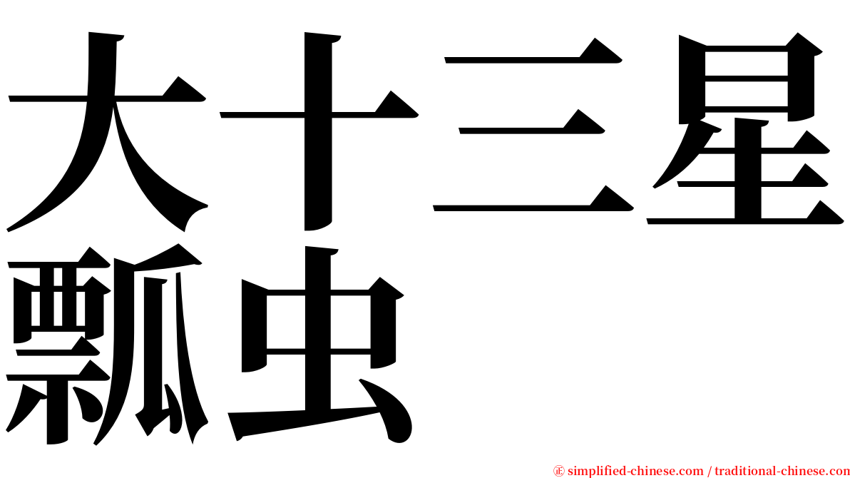 大十三星瓢虫 serif font