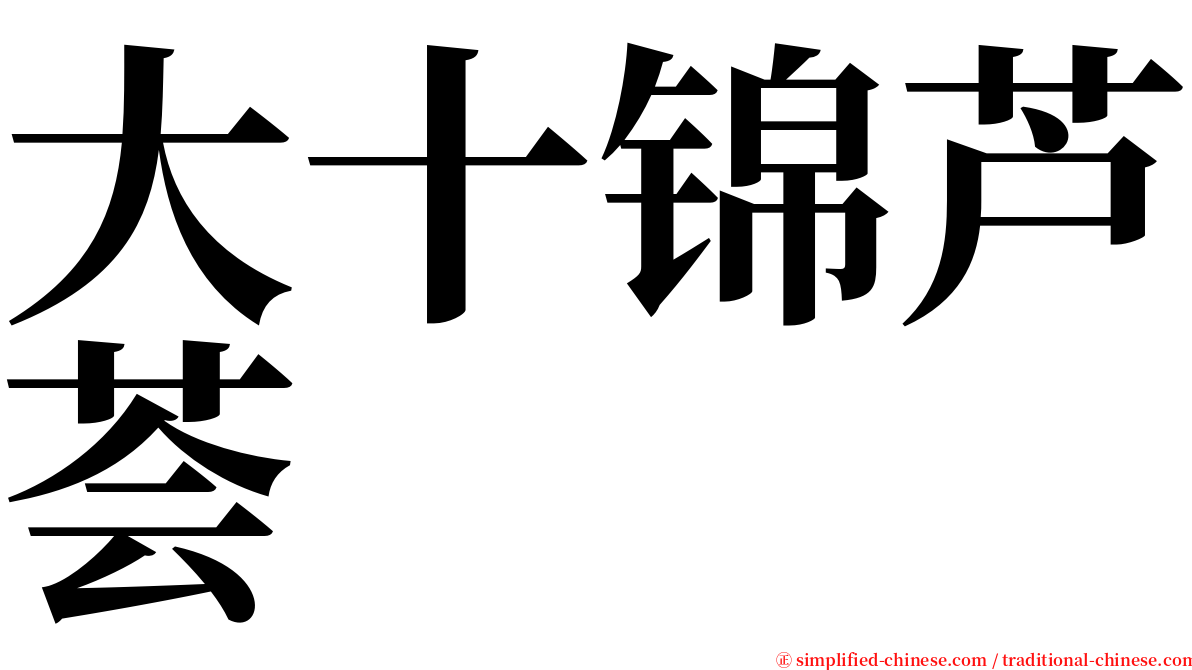 大十锦芦荟 serif font