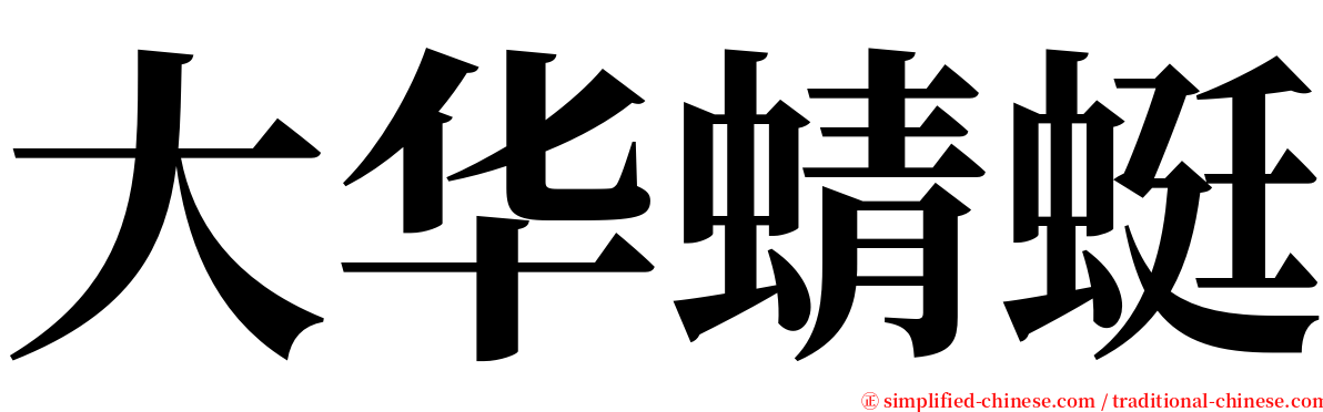 大华蜻蜓 serif font