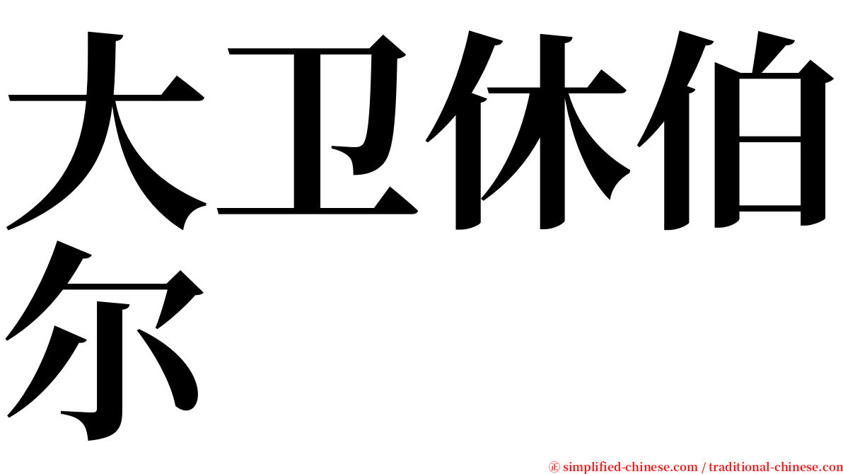 大卫休伯尔 serif font