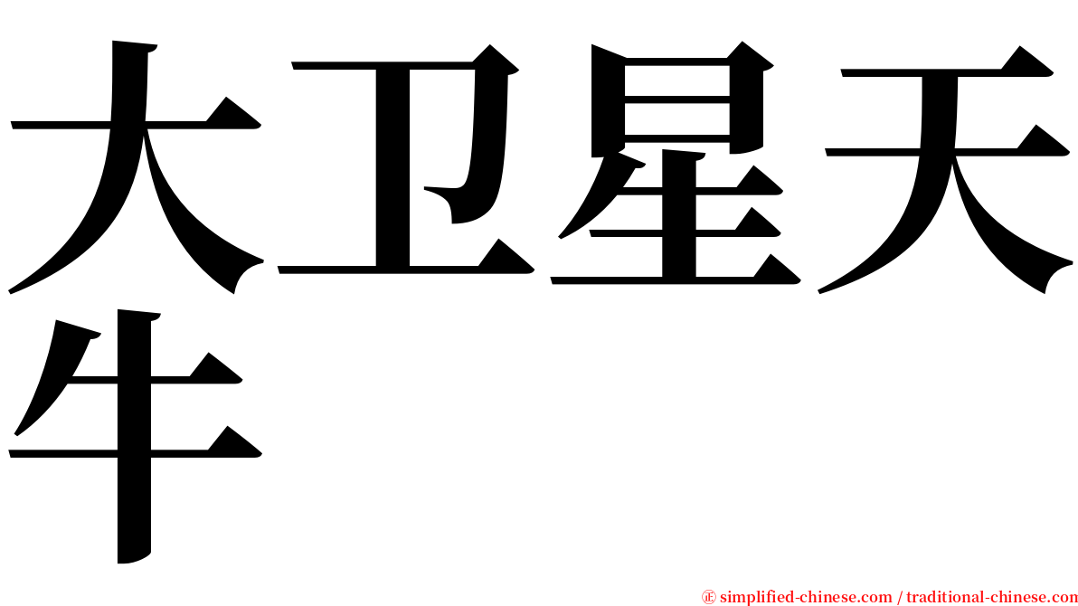 大卫星天牛 serif font