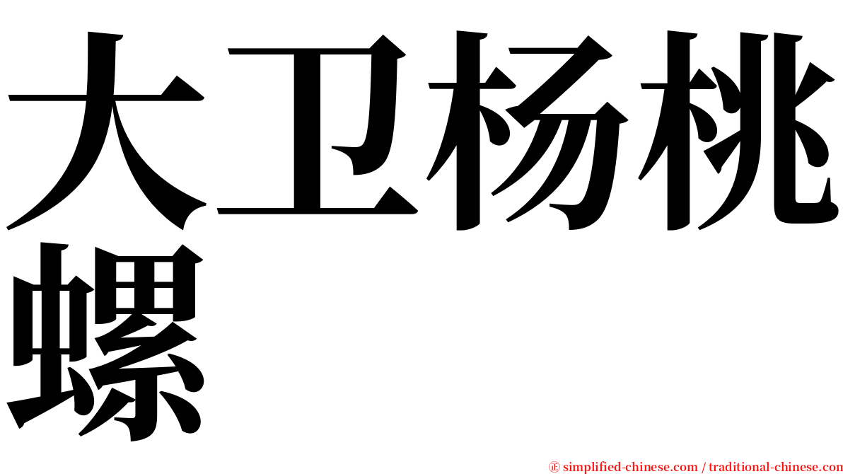 大卫杨桃螺 serif font