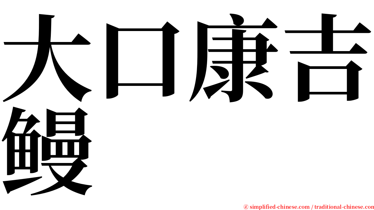 大口康吉鳗 serif font