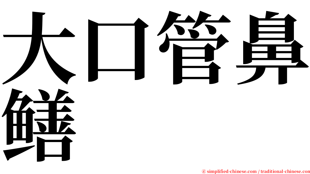 大口管鼻鳝 serif font