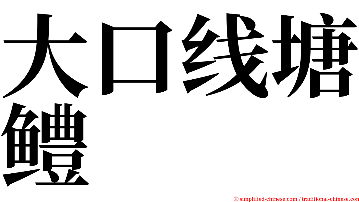 大口线塘鳢 serif font