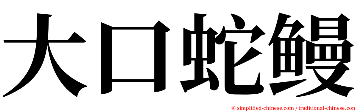 大口蛇鳗 serif font