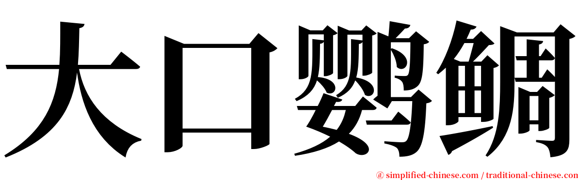 大口鹦鲷 serif font