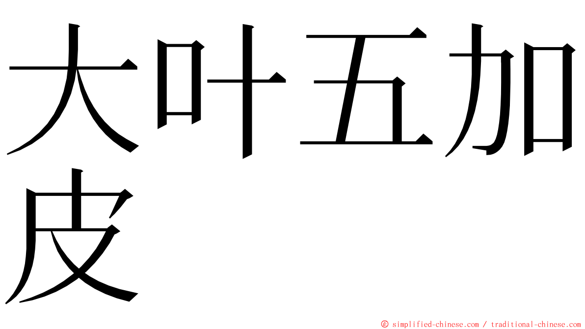 大叶五加皮 ming font