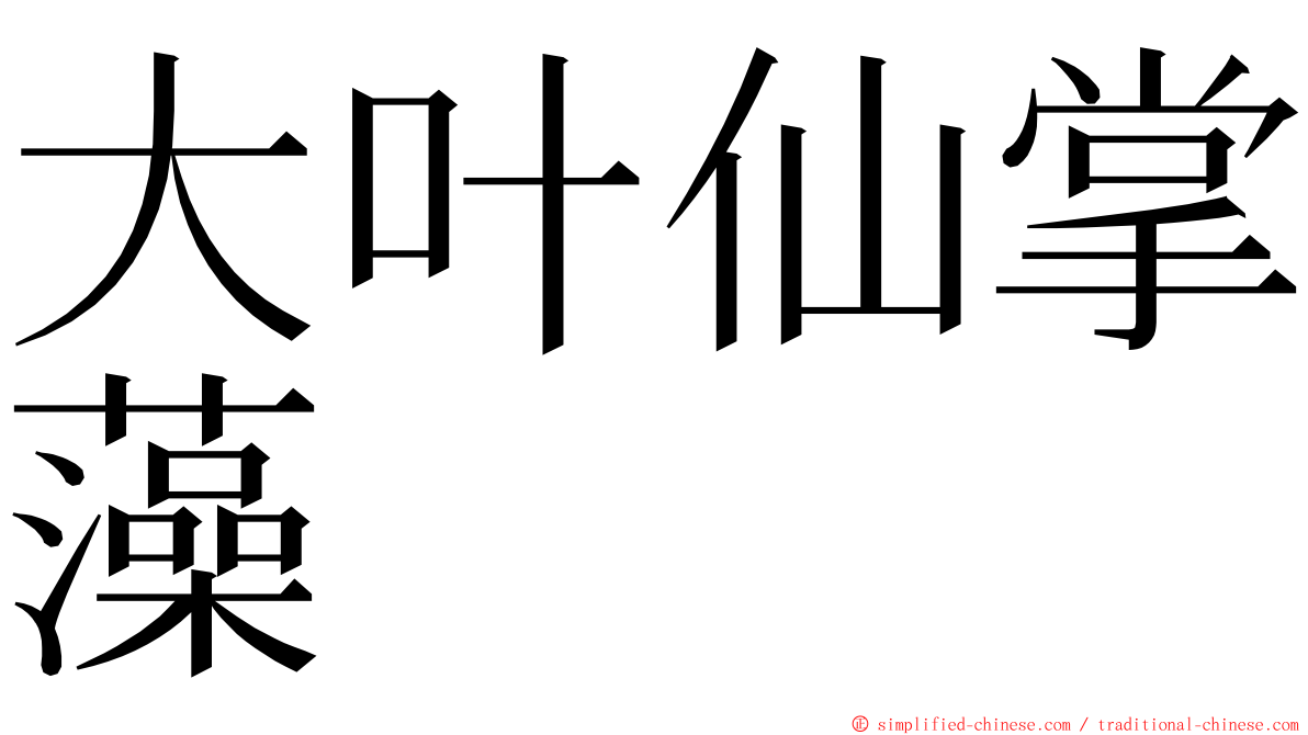 大叶仙掌藻 ming font