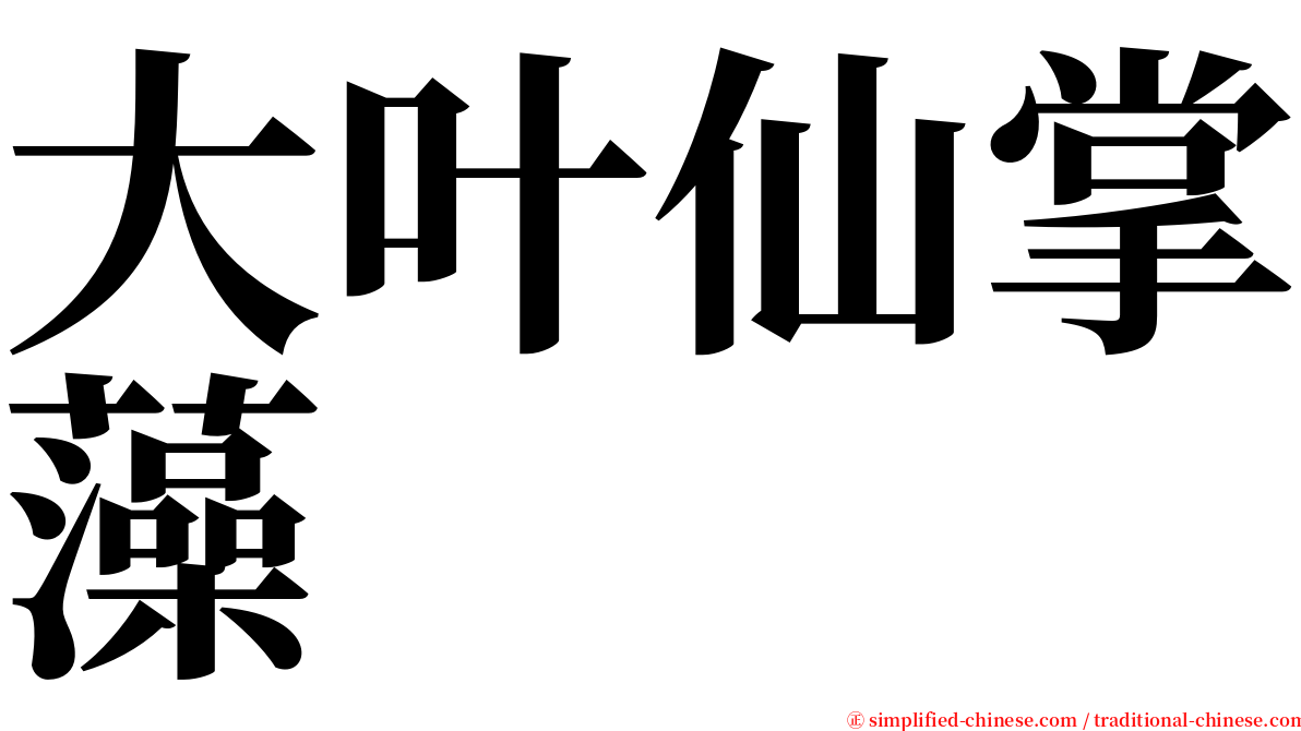 大叶仙掌藻 serif font