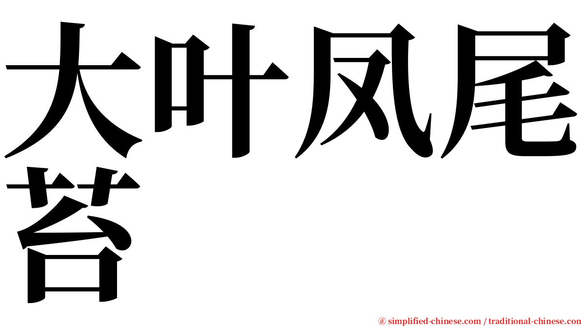 大叶凤尾苔 serif font