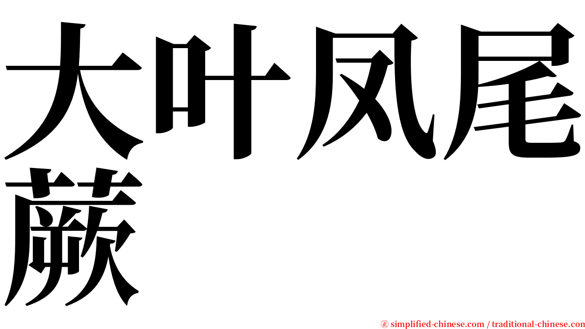 大叶凤尾蕨 serif font