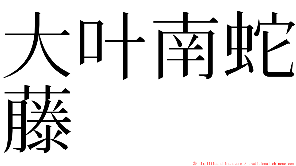 大叶南蛇藤 ming font