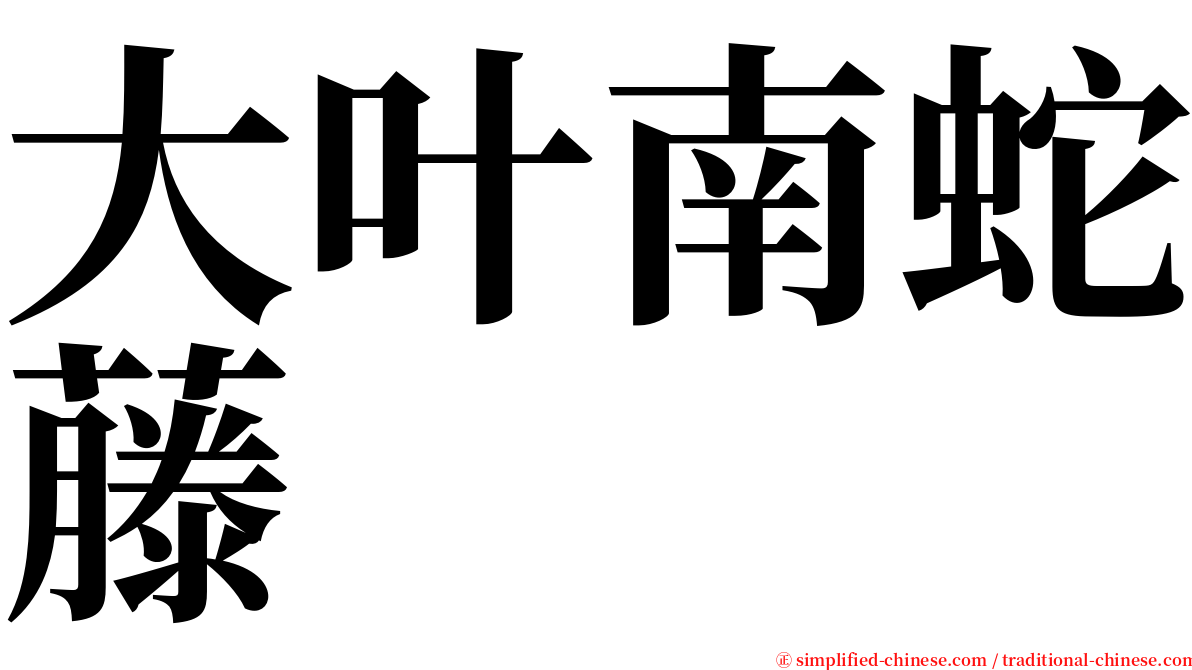 大叶南蛇藤 serif font