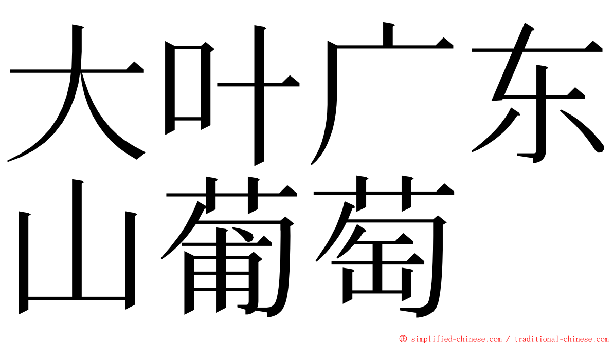 大叶广东山葡萄 ming font