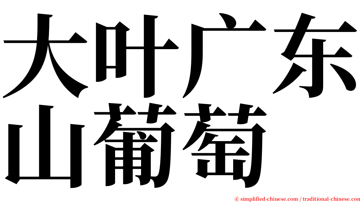 大叶广东山葡萄 serif font