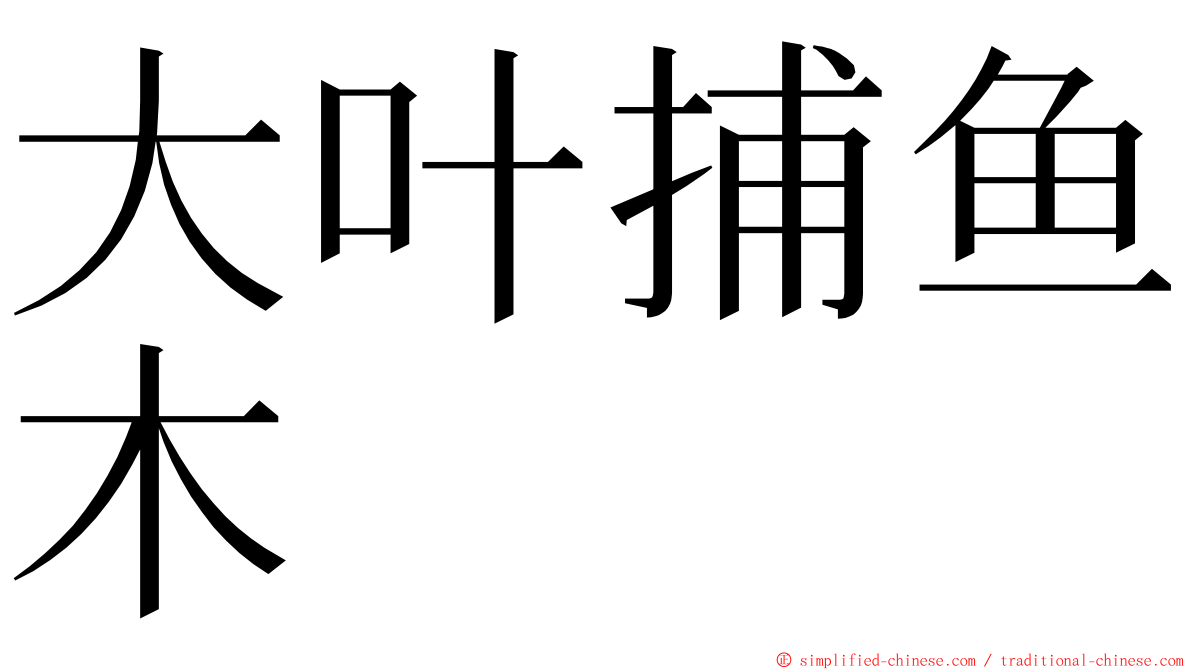 大叶捕鱼木 ming font