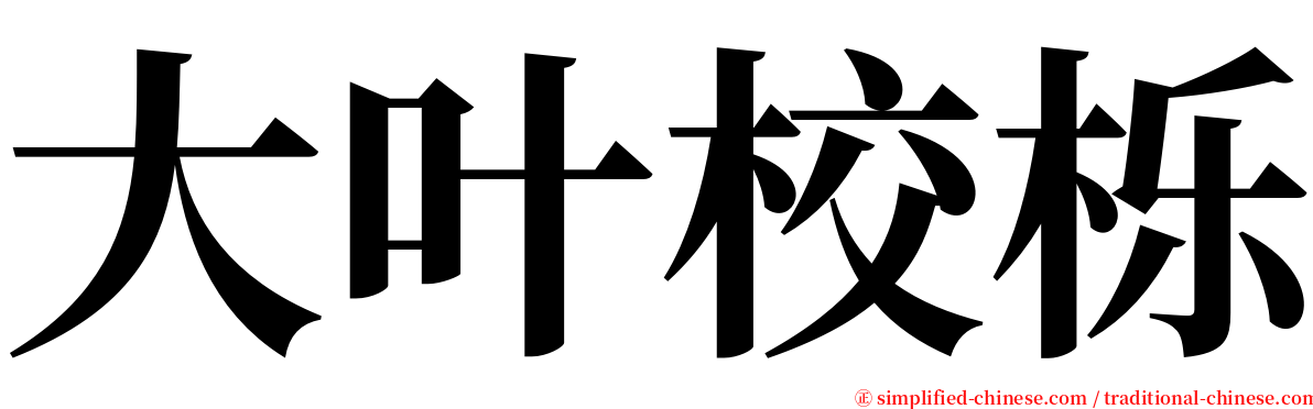 大叶校栎 serif font