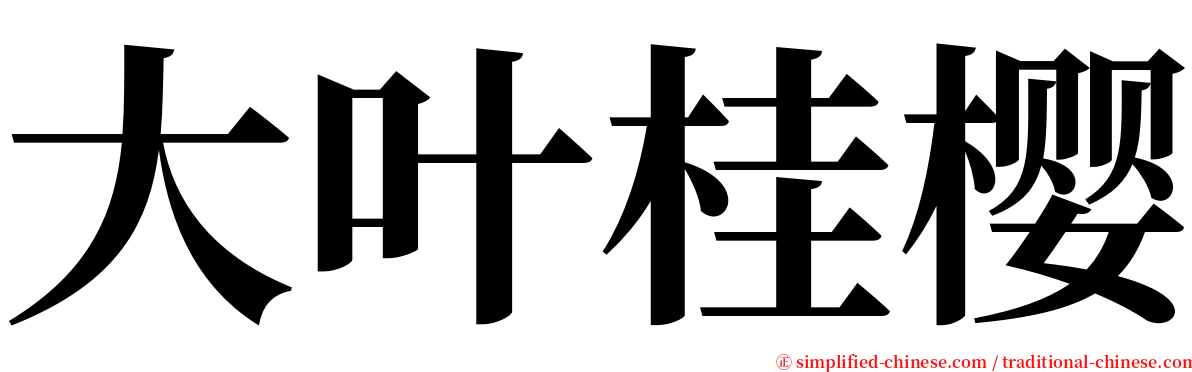 大叶桂樱 serif font