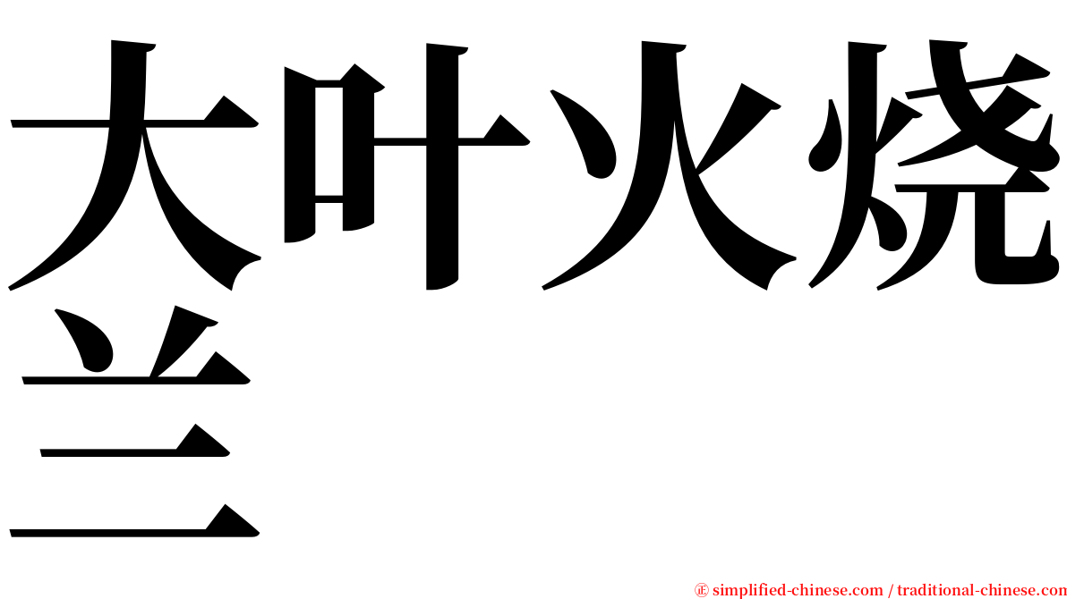 大叶火烧兰 serif font