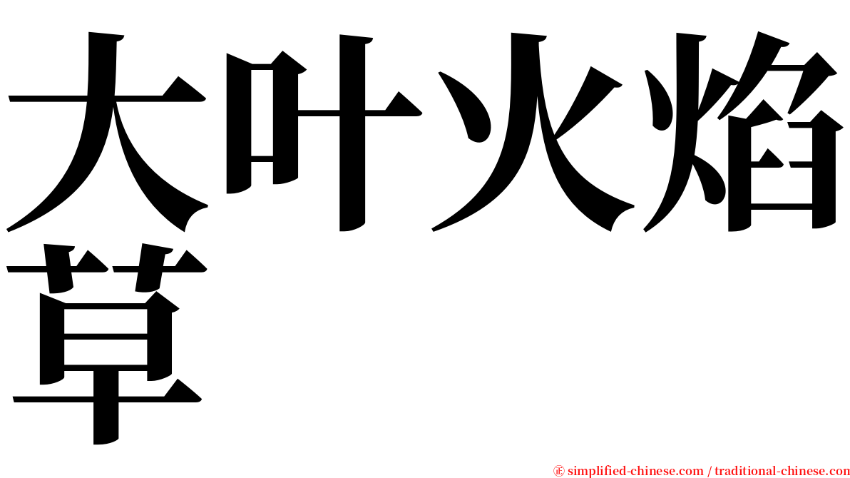 大叶火焰草 serif font