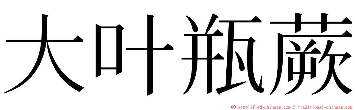 大叶瓶蕨 ming font