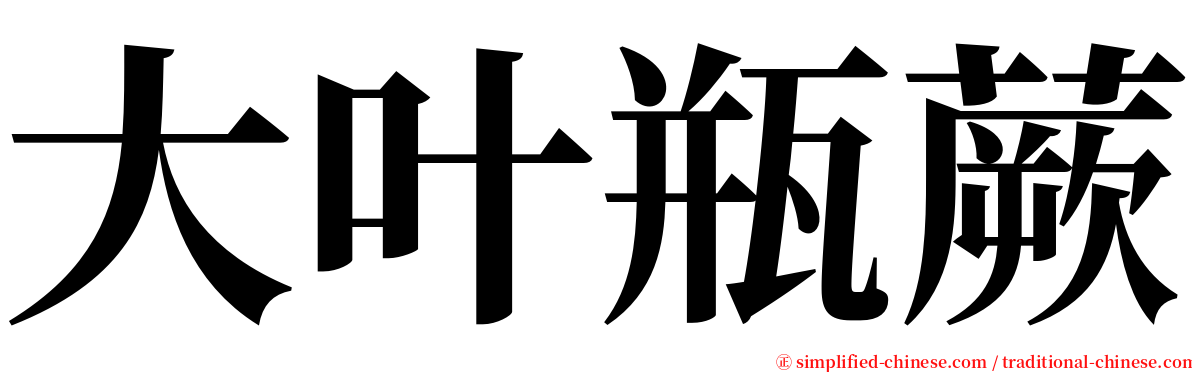 大叶瓶蕨 serif font