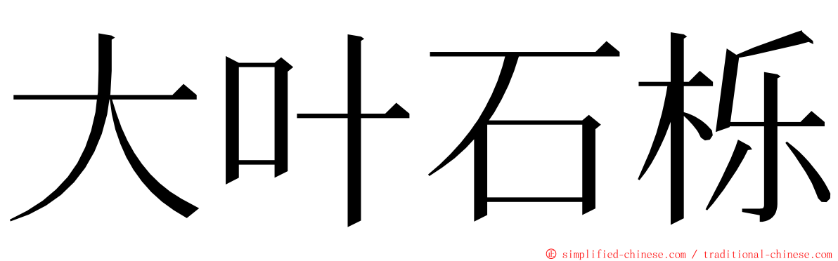 大叶石栎 ming font