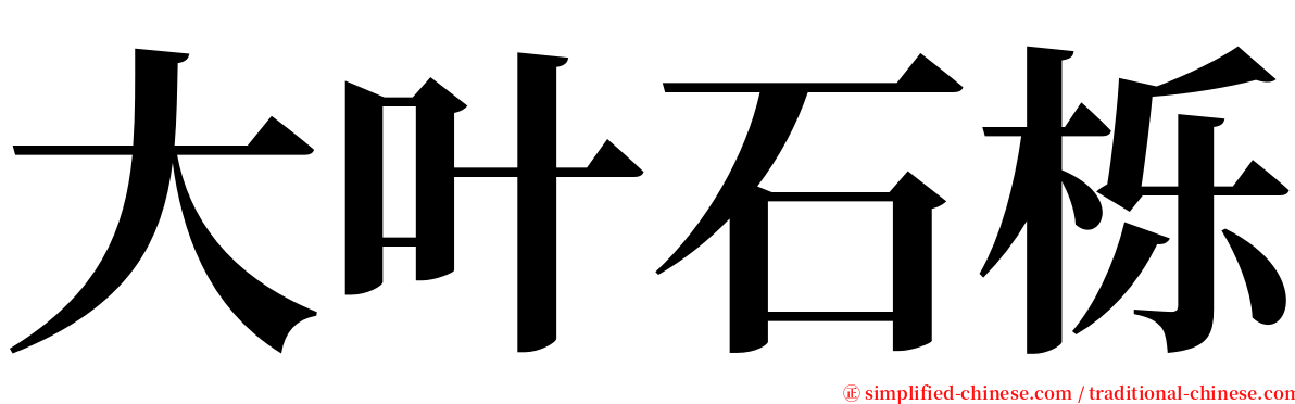 大叶石栎 serif font