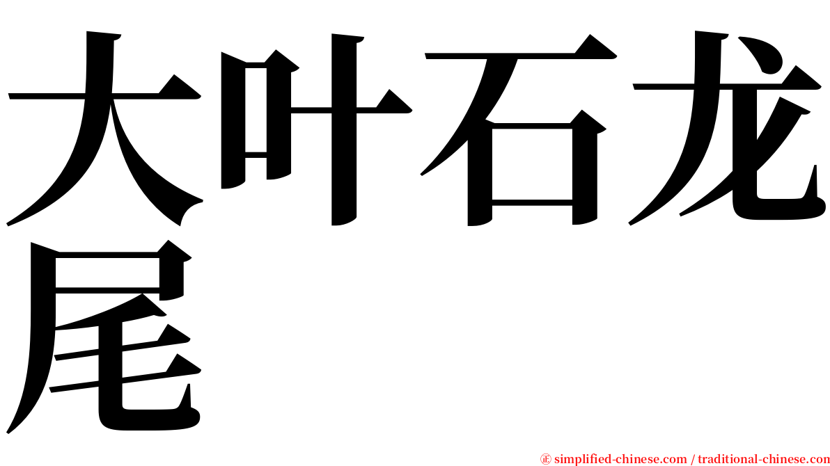 大叶石龙尾 serif font