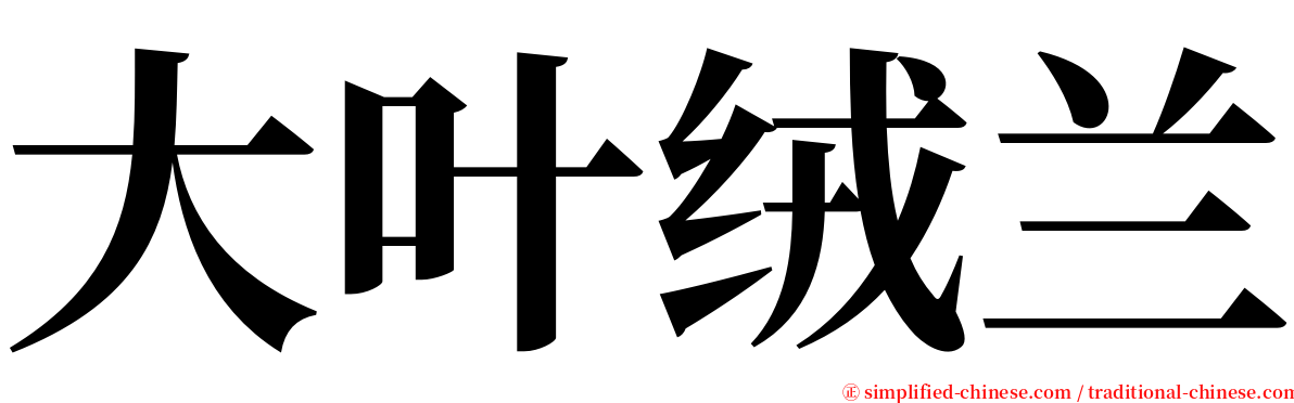 大叶绒兰 serif font