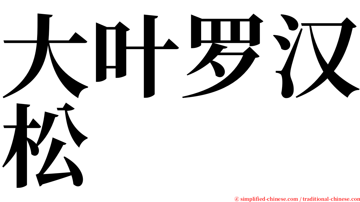 大叶罗汉松 serif font