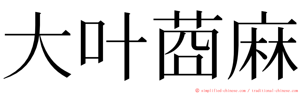 大叶莔麻 ming font