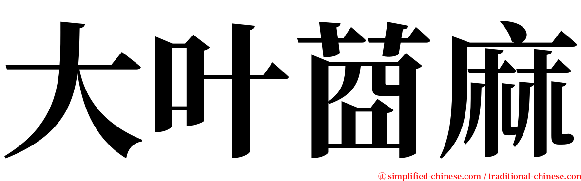 大叶莔麻 serif font