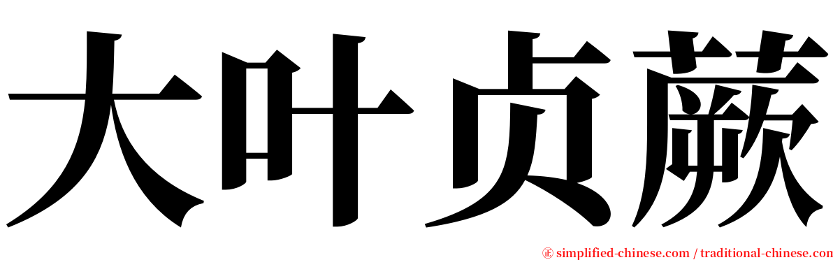 大叶贞蕨 serif font