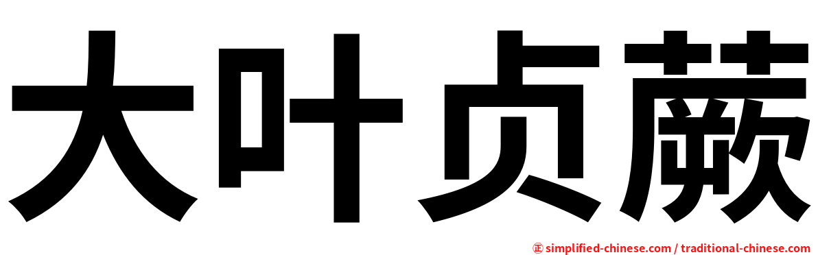 大叶贞蕨