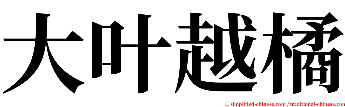 大叶越橘 serif font