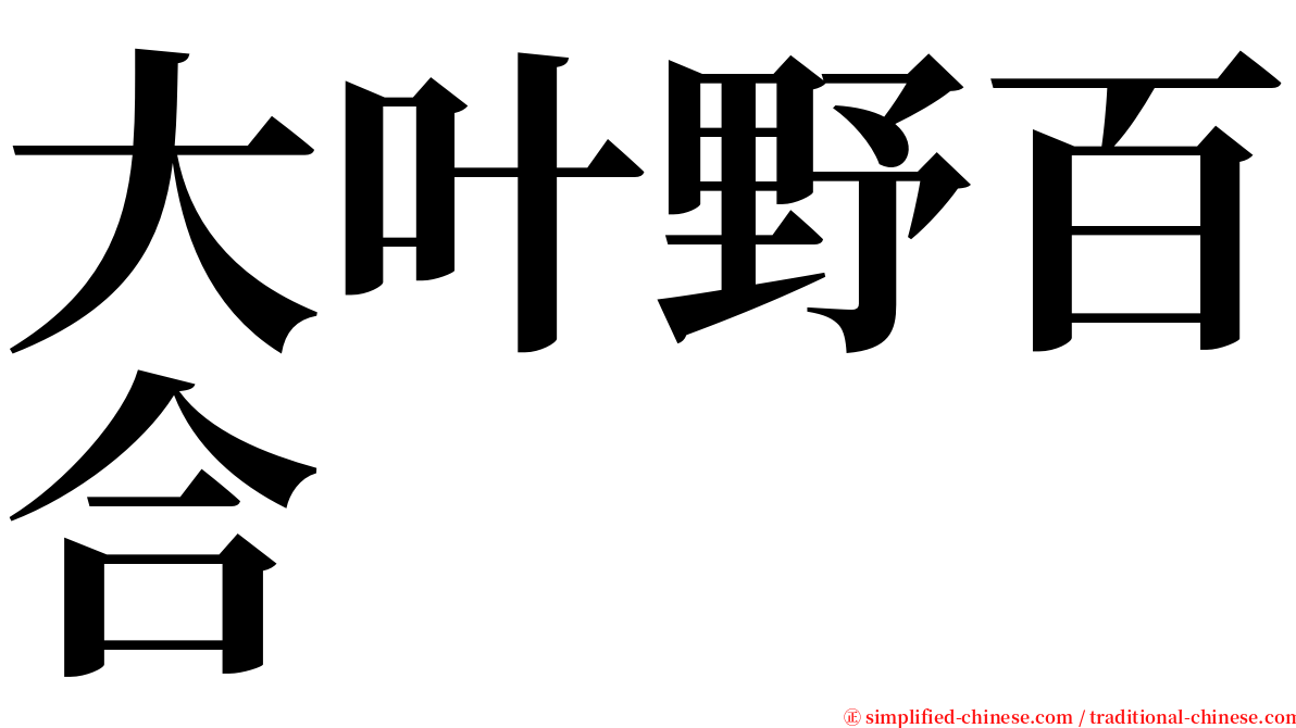 大叶野百合 serif font