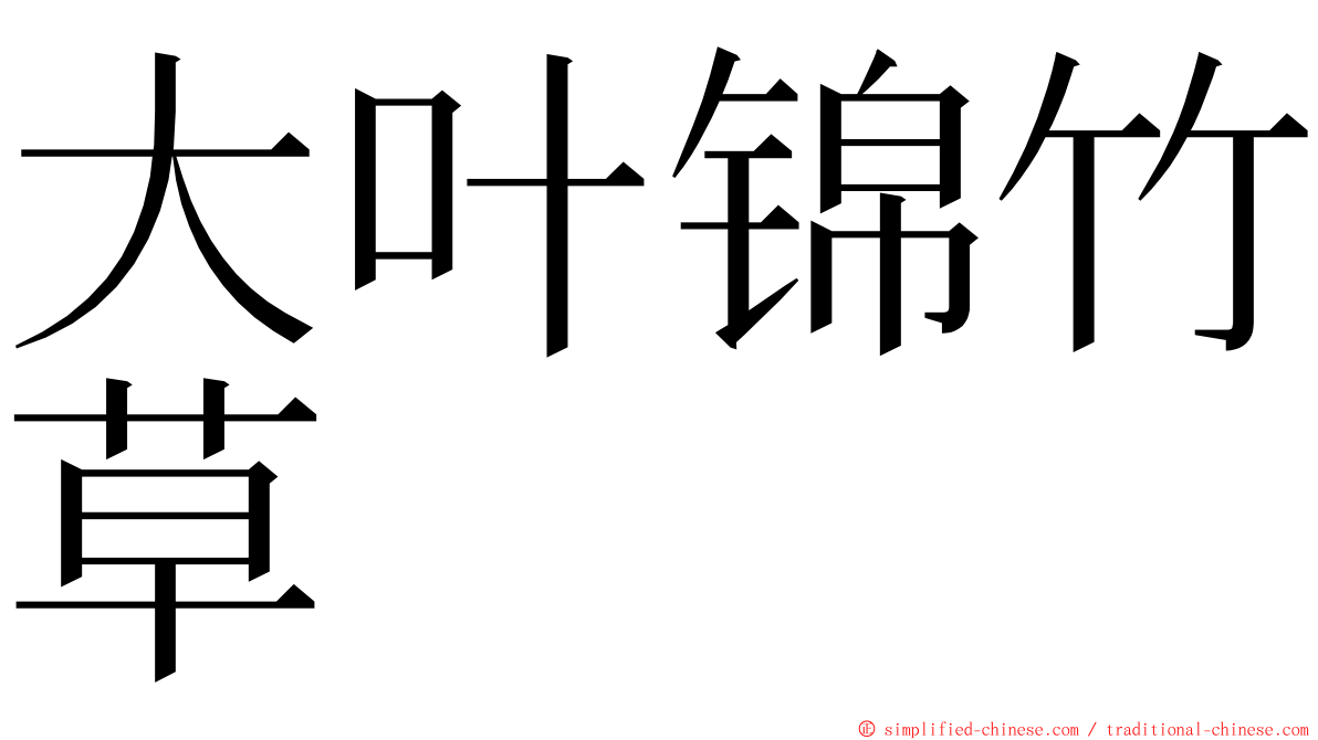 大叶锦竹草 ming font